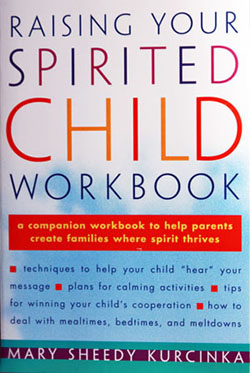 Raising Your Spirited Child Workbook
